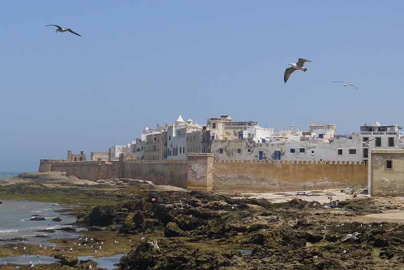 Day Trip to Essaouira from Marrakech