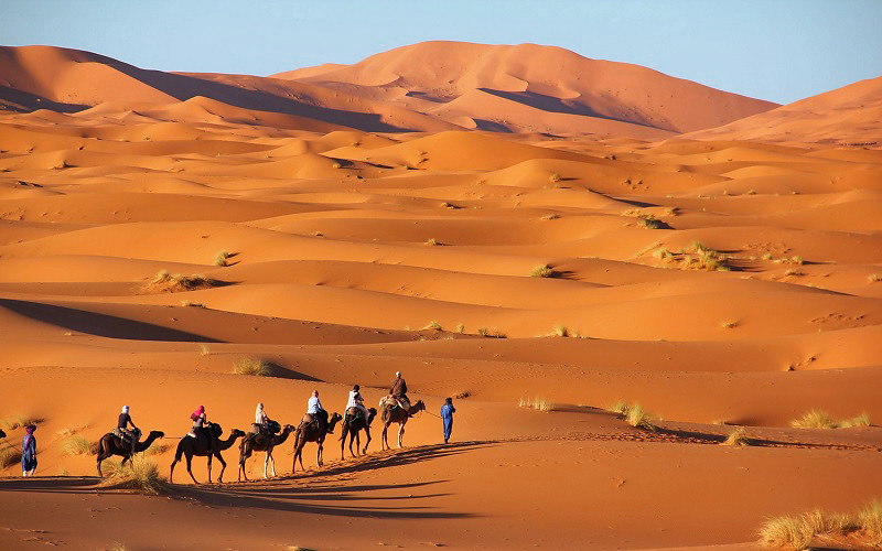 8 Days Tour from Marrakech to Imperial Cities & Desert