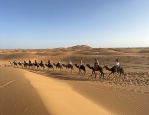 Top 7 Things to Do in Merzouga