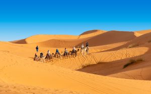 How much does a desert tour cost in Marrakech?